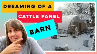 Our CHEAP Animal Barn Plans | Using Cattle Panels