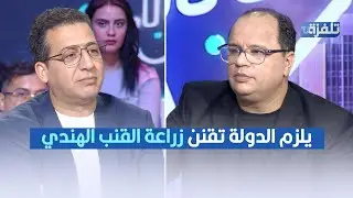 يلزم تقنين زراعة القنب الهندي في تونس ,بوبكر بن عكاشة في تصريح مثير