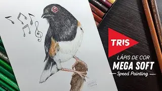 TUTORIAL Pintura de PÁSSARO REALISTA com lápis de cor TRIS Mega Soft  (Passo a passo)