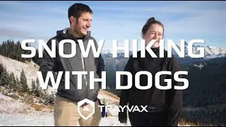 First Hike of Winter [2020]: Skyline Divide Trail, Washington
