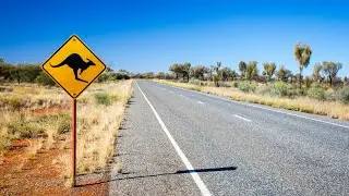 &lsquo;Slow path to decline&rsquo;: Regional Australian towns &lsquo;depleted&rsquo; of youth