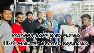 Record breaking 13:18 minutes | pipeline Babana | Amarnath | Vasapa loft Pigeon Tournament 2024
