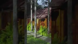 Yercaud | Unique Stays | Wooden Cabin | Shorts