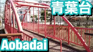 [JAPAN/TOKYO]Walk from Matsumi-zaka on the west side of Shinsen Station to the Meguro River