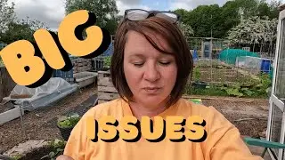 Big Issues On The Allotment. How We Are Dealing With It