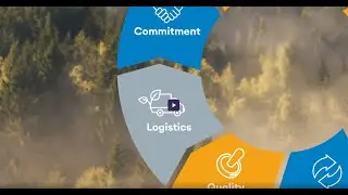 Precision & Efficiency &ndash; K&ouml;mmerling&rsquo;s Global Logistics Network
