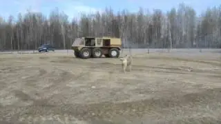 M2U00316.MPG