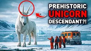 BREAKING: After 1 Million Years, an &ldquo;Extinct&rdquo; Creature Is Found Alive in Antarctica