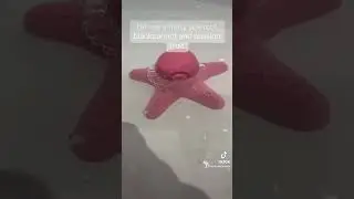 The Lush Monster Octopus shower jelly review / demo #lush #halloween #monsteroctopus #showerjelly