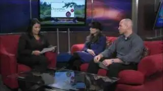 ABC 36 News News at Noon/12:30 Christmas at Andover 11-28