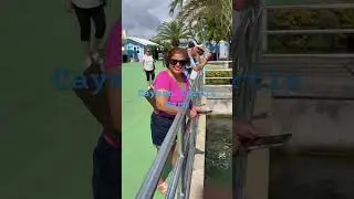 Another interesting Feature Destination Cayman