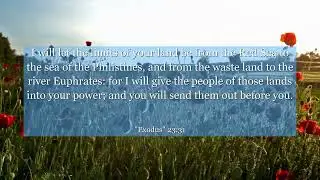 Exodus 23:31 I will let the limits of your land be from the Red Sea to the sea of the Philistines,