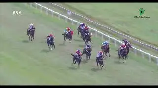 18TH JANUARY 2026 RACE 3