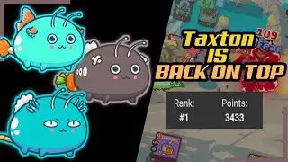 TAXTON IS BACK ON TOP | RANK 1 MMR  | AXIE INFINITY