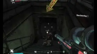 Borderlands - Raid Rage Psycho