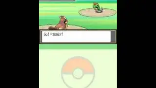 Lets Play Pokemon Soul Silver #4 rats, bugs, and shadow glitch