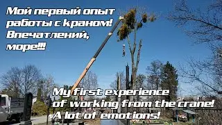 Режем деревья, первый раз с краном We cut down trees with the help of the crane