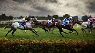 Madras Race Club Live Stream