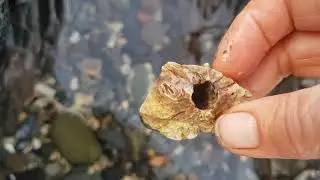 Sea Glass Ireland - beachcombing and seaglass hunting 26th Dec 2018 part 1