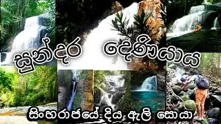 tavel with දෙනියාය සුන්දර සවාරියක් සිංහරාජයේ දිය ඇලි සොයා sinhala