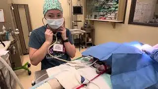 Penn Foster Externship 2: Skill 9 - Esophageal Stethoscope