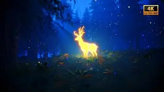 Deep Forest Escape | The Enchanted Grove | 4K Cinematic Relaxation | 30MIN