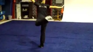 NWTC Level 15 test -- Le Vonne