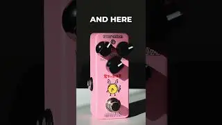 Tiny Pedal, Thick Sound ! | Effects Bakery NEW GINGER Fuzz