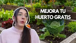 5 SUSTAINABLE projects for the garden without spending MONEY