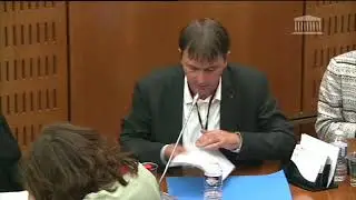 MICHEL LARIVE : MICRO COUP&Eacute; ET QUESTION SANS R&Eacute;PONSE EN COMMISSION CULTURE.