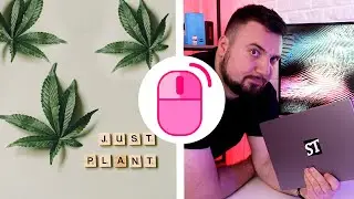 Marihuana treba da bude legalna | Cile ST