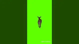 deer walk front green screen #deer walk cartoon #cartoon #tamilcartoon