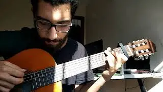 Sena Sener - Sevmemeliyiz (Fingerstyle Gitar Cover)