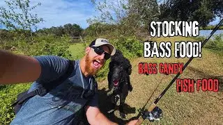 &ldquo;Neighborhood Pond Stocking Adventure | Bluegill Mission&rdquo;