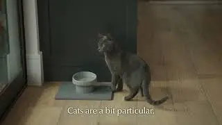 Dorai Cat Bowl + Stone Base | Make Mealtime Comfortable & Stylish