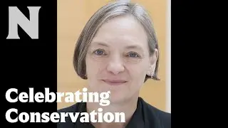 Innovation in Conservation: One View from the Here and Now