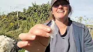 Picking VM Out of Fleeces