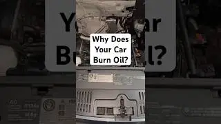 Why Does Your Car Burn Oil?