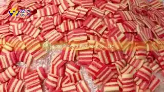 Double Color Fried Bugles Chips Snack Equipment Corn Snacks Food Machine Production Line#factory