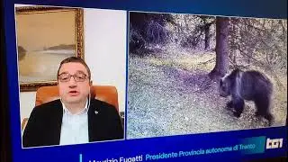Fugatti sugli orsi: 