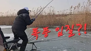 폭풍 입질?! 미친듯이 잡았습니다!!