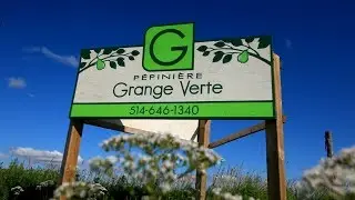 The Freedom Farm - The Green Barn Nursery