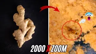 You&rsquo;ve Never Seen Spices Like This Before 🔬 Shocking Microscopic Views 😮