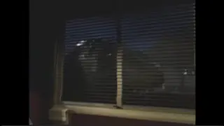 L'incident de Saint-Jean-de-Védas