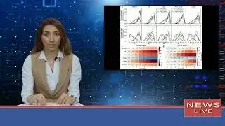 ENSO-Einfluss auf die Vorhersagbarkeit des antarktischen Meereises: Eine Studie zur linearen und n