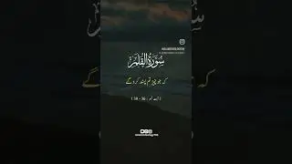 Quran Short Translation - very important reminder