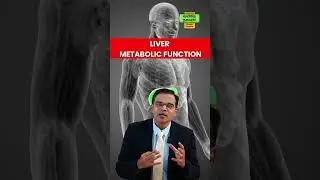 What are the #liver  Function Tests