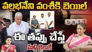 వల్లభనేని వంశీకి బెయిల్ || Krishna Kumari about Vallabhaneni vamsi Bail || RedTv Focus
