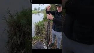 Harry's first river Hull  double!