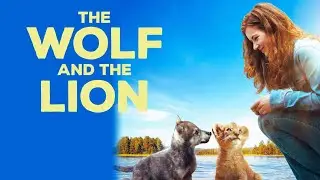 Le Loup et le Lion : Une Amiti&eacute; Sauvage Qui D&eacute;fie la Nature